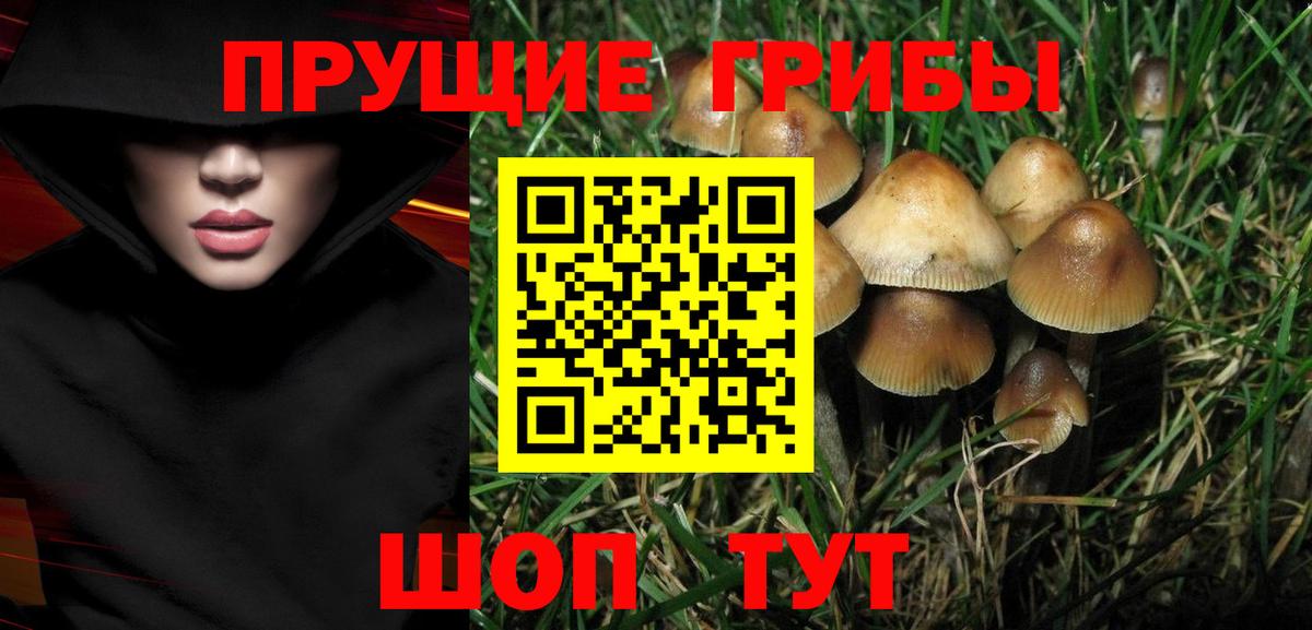 Галлюциногенные грибы Magic Shrooms  Вход с VPN  Десногорск  Псилоцибиновые грибы Psilocybe 